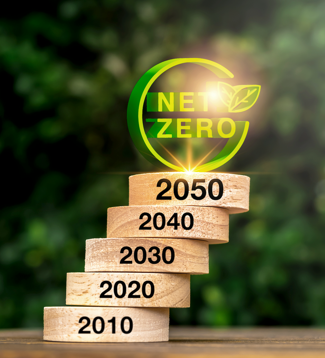 Netzero-123