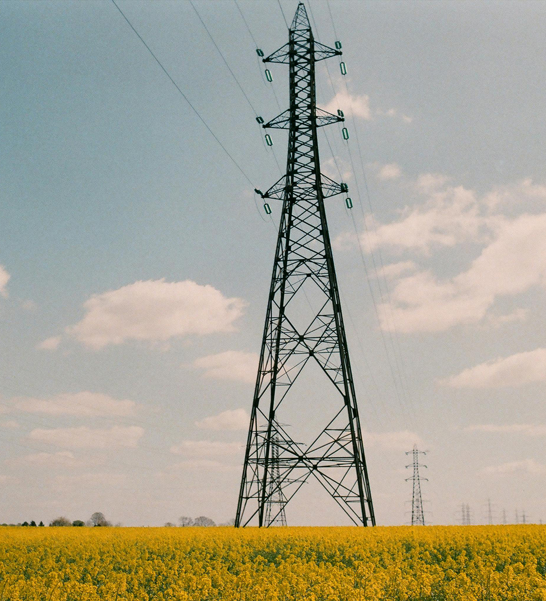 pexels-olgalioncat-7245197-cropped